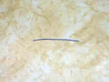 1 inch white wire